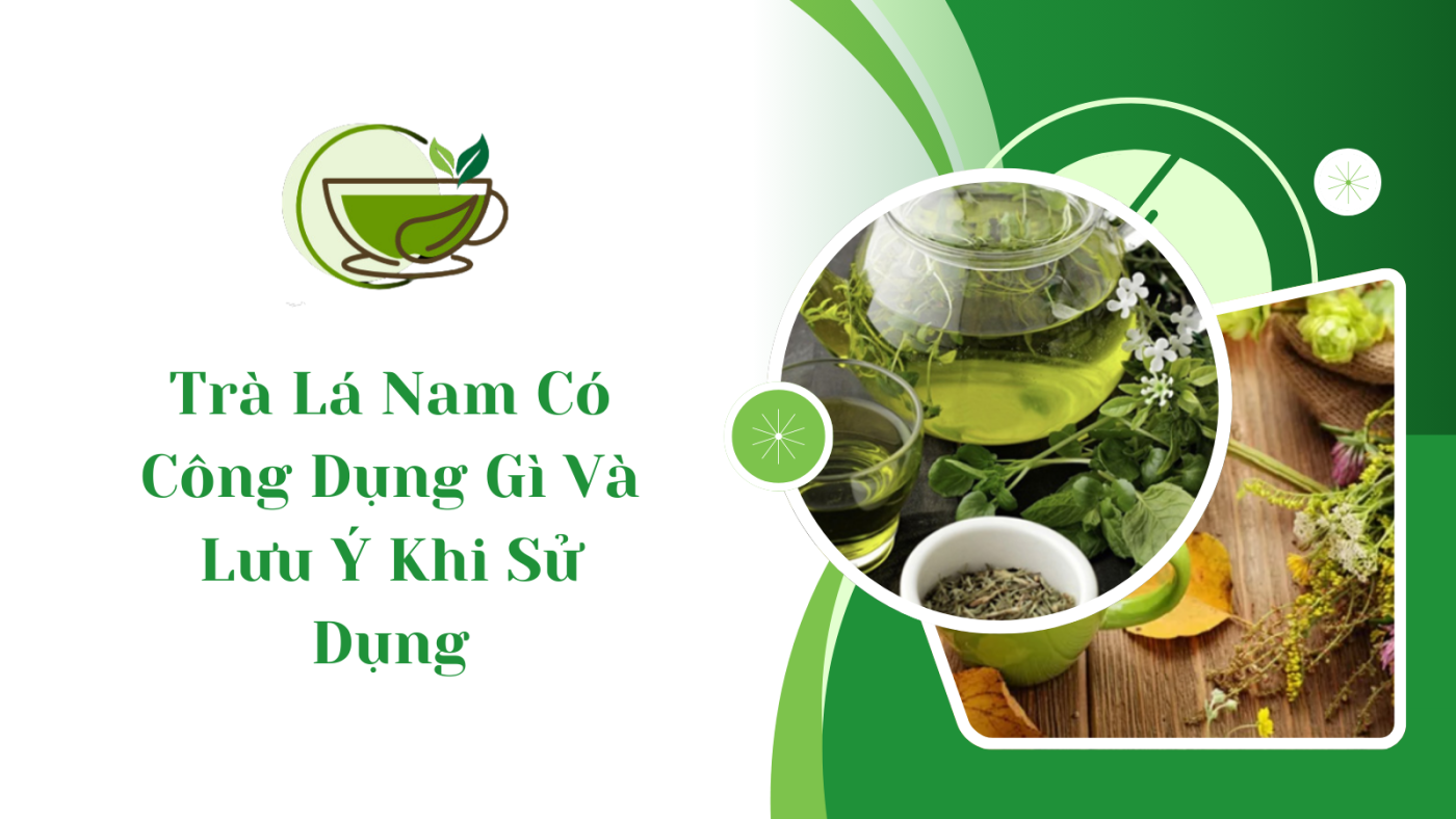 trà lá nam có công dụng gì