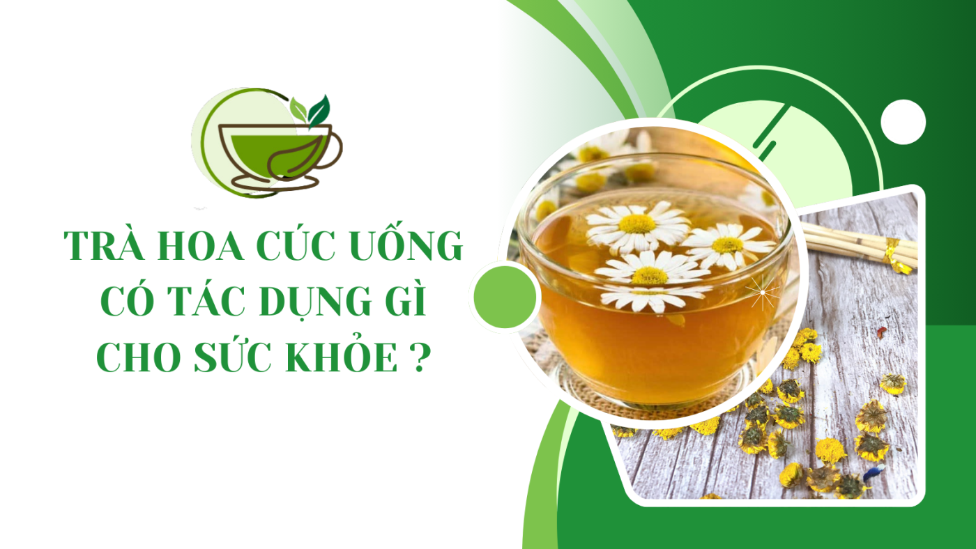 trà hoa cúc uống có tác dụng gì