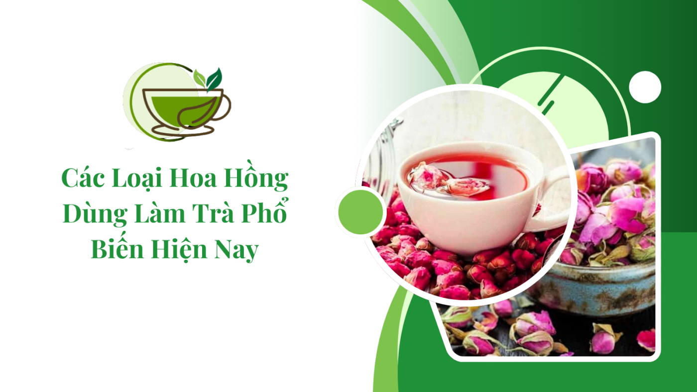 Các loại hoa hồng dùng làm trà