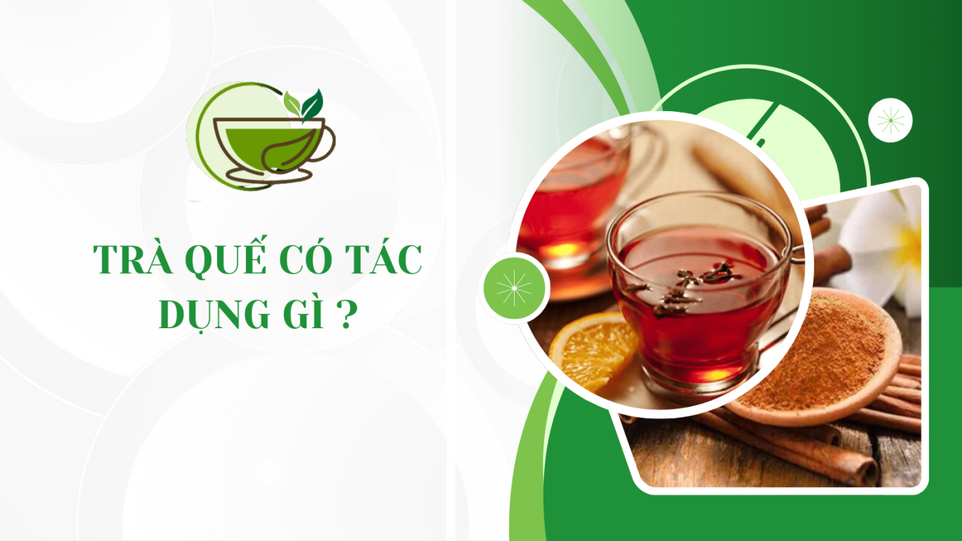 trà quế có tác dụng gì?